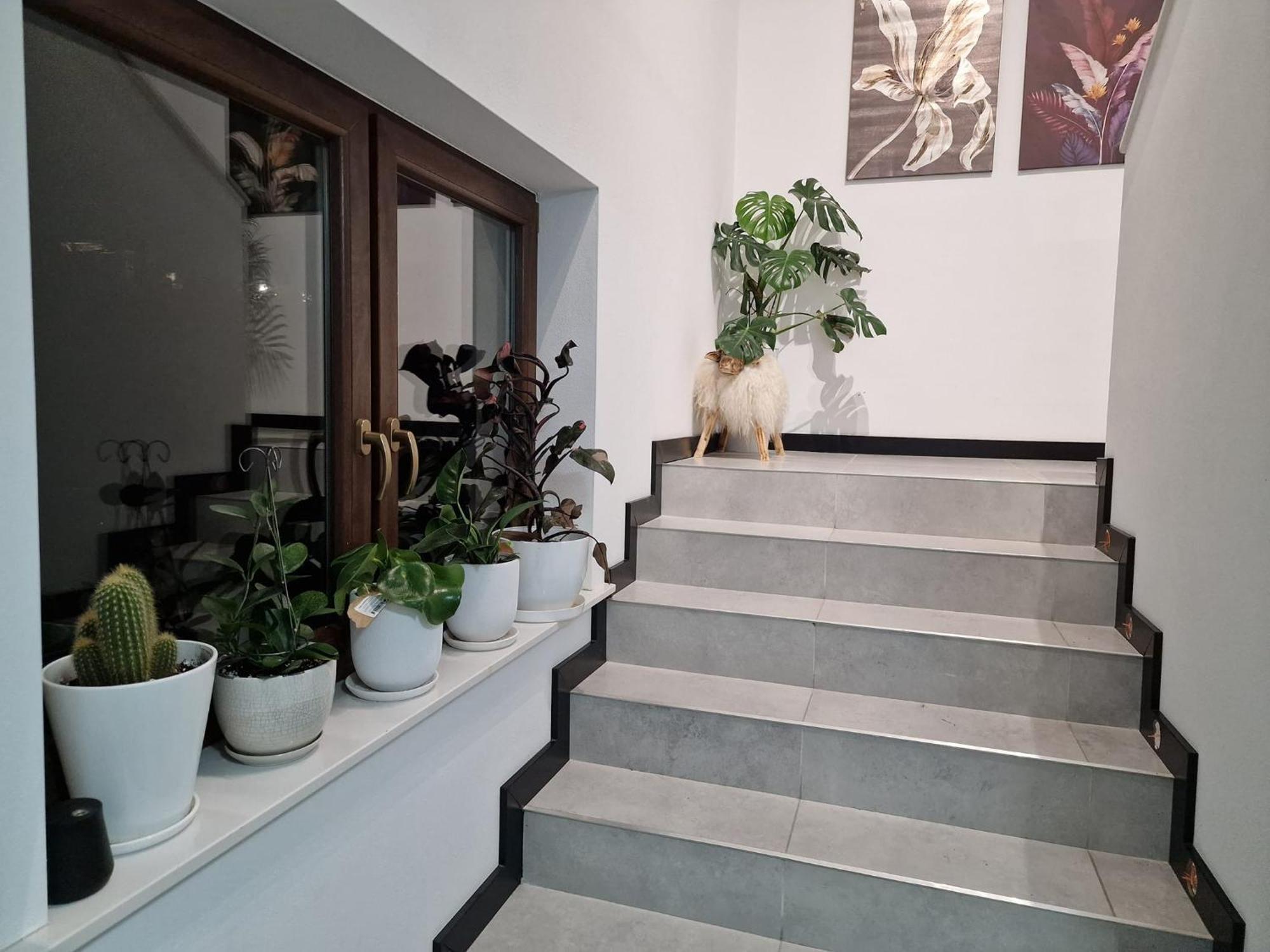 Male Ciche 36J Przy Ostrewkach, Widok Na Gory, Blisko Do Wyciagu Narciarskiego, Idealne Miejsce Na Wypad W Gory -Tarasowka-Zgorzelisko-Rusinowa Polana-Gesia Szyja-Palenica-Wiktorowki-Morskie Oko Murzasichle Ngoại thất bức ảnh